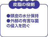 皮脂は大切な役割を果たしています