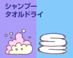 シャンプー、タオルドライ